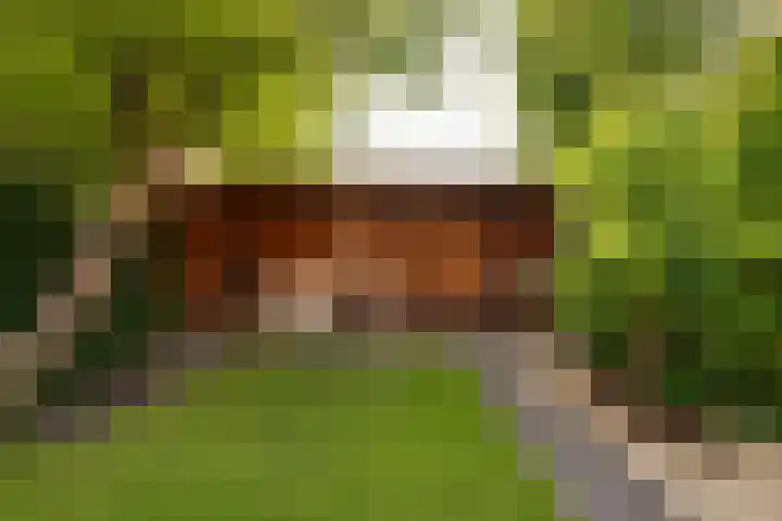Landzichtlaan 38 Heemstede thumbnail 23