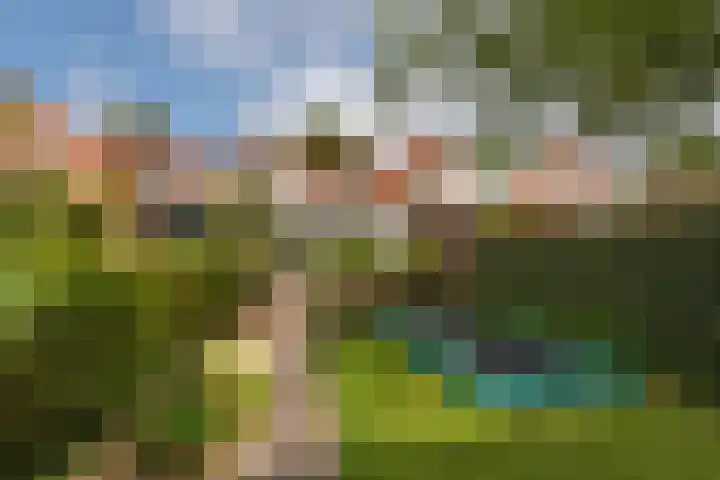 Landzichtlaan 38 Heemstede thumbnail 28