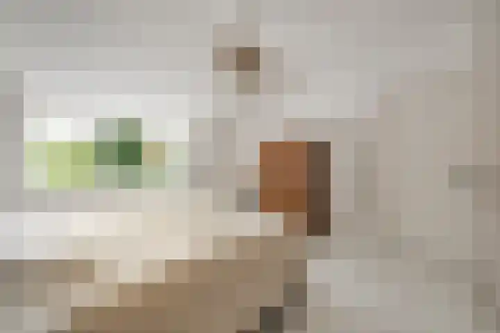 Landzichtlaan 38 Heemstede thumbnail 33