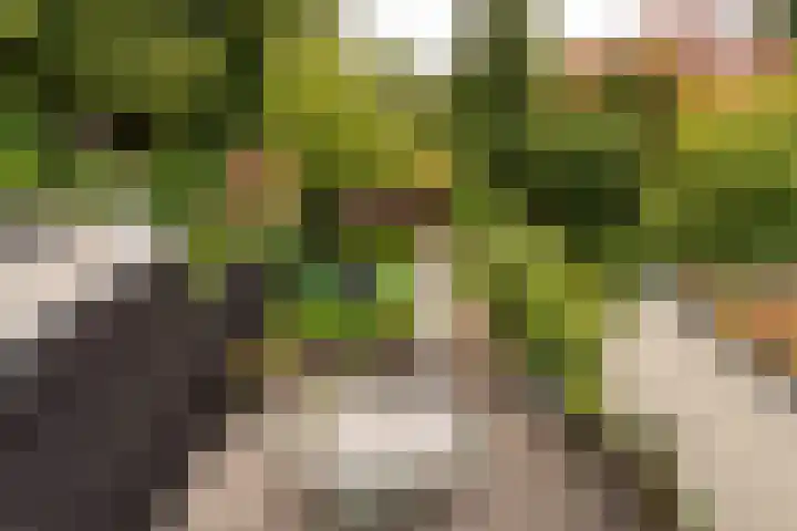 Landzichtlaan 38 Heemstede thumbnail 34