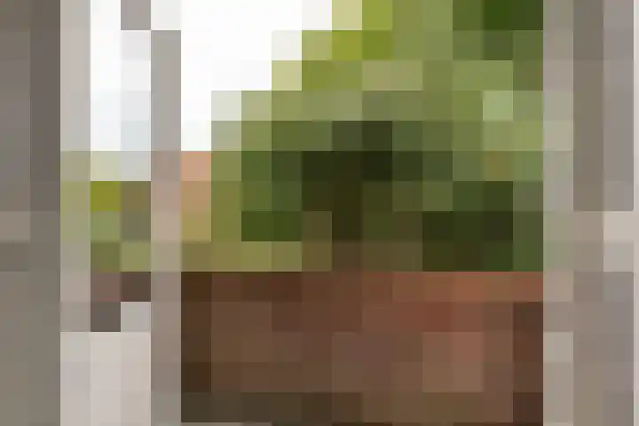 Landzichtlaan 38 Heemstede thumbnail 36