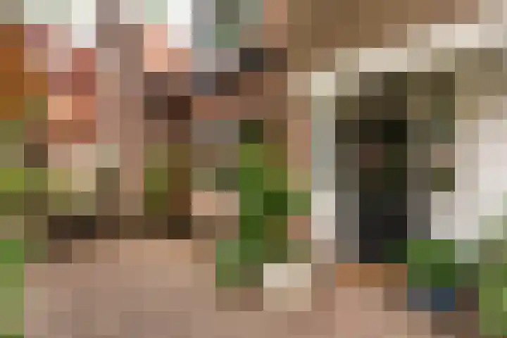 Landzichtlaan 38 Heemstede thumbnail 4