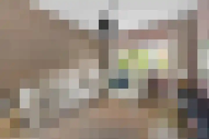 Landzichtlaan 38 Heemstede thumbnail 7