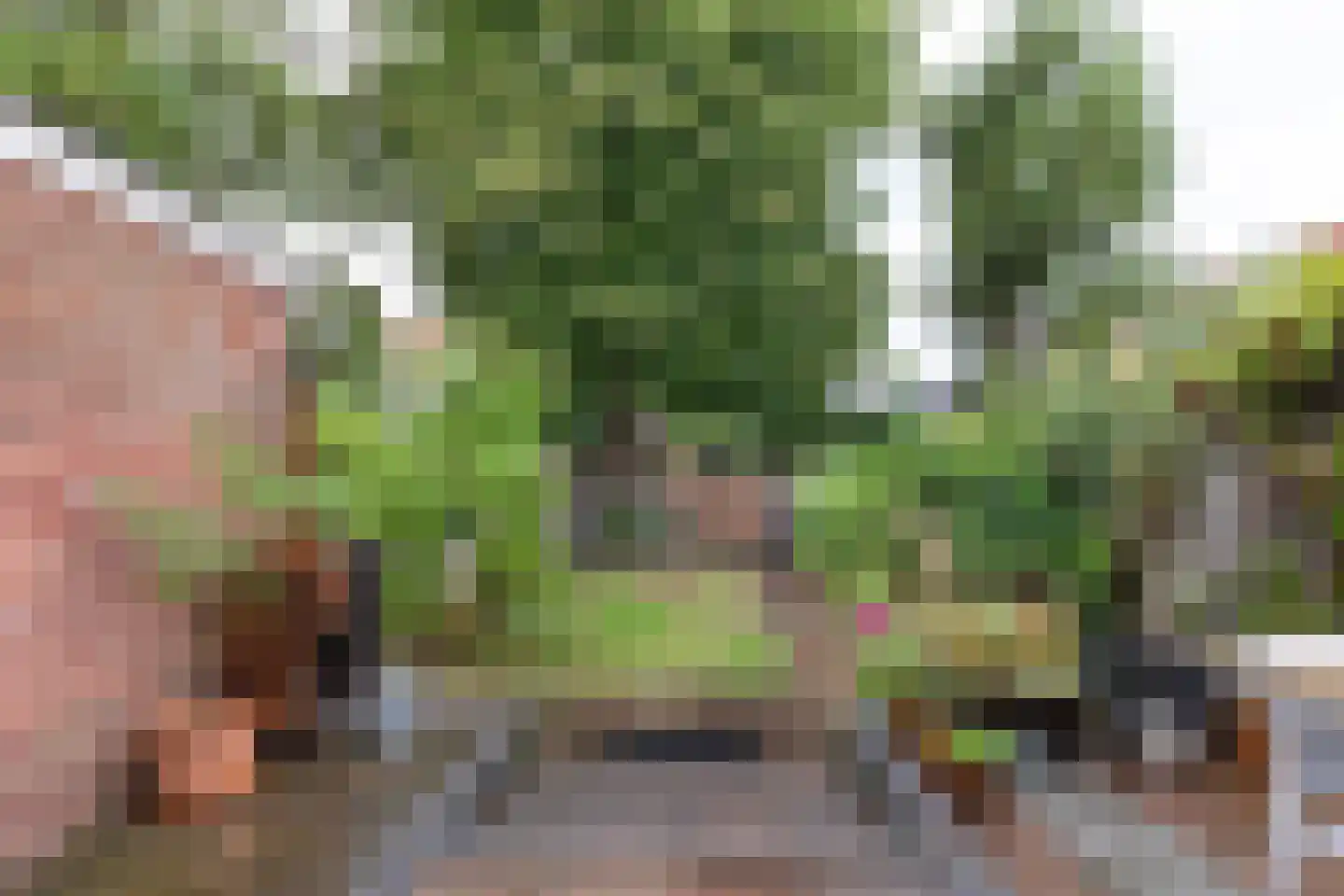 Landzichtlaan 43 Heemstede thumbnail 23