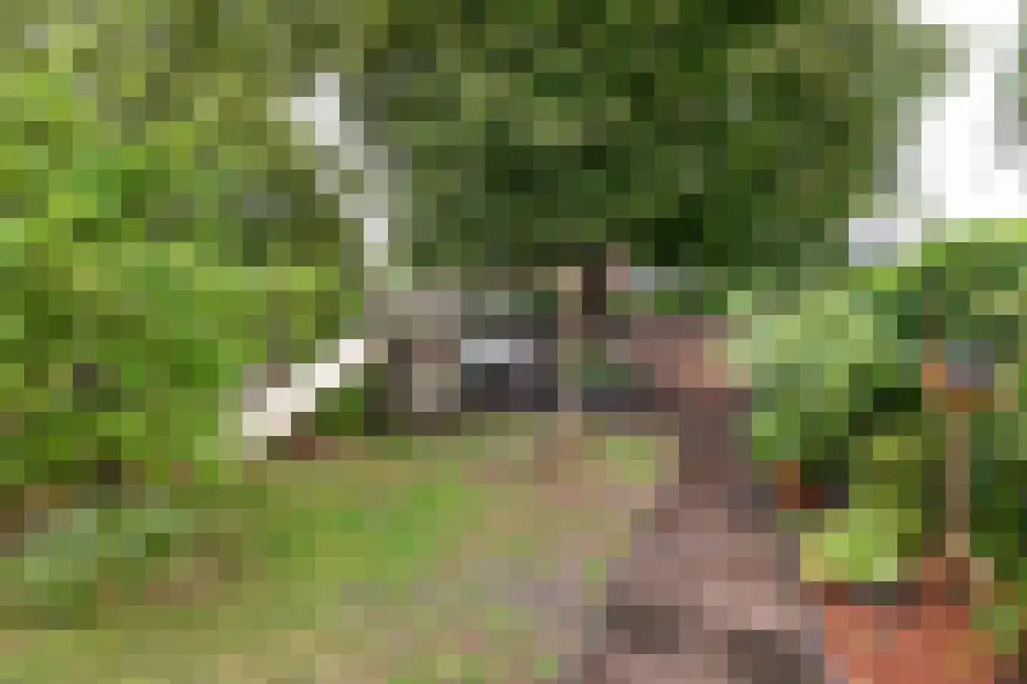 Landzichtlaan 43 Heemstede thumbnail 25