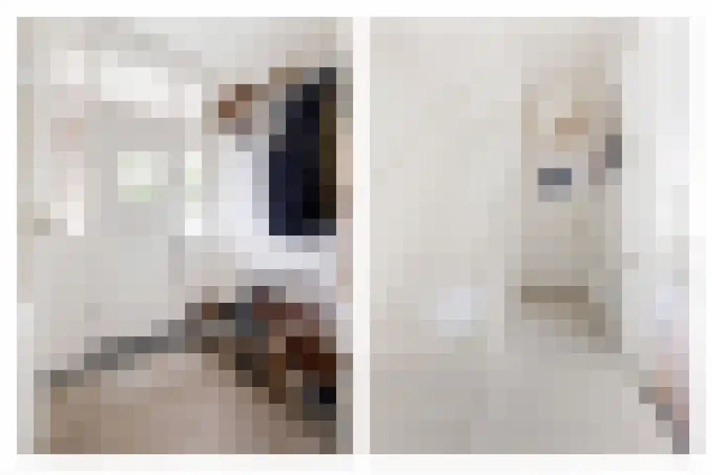 Landzichtlaan 43 Heemstede thumbnail 8