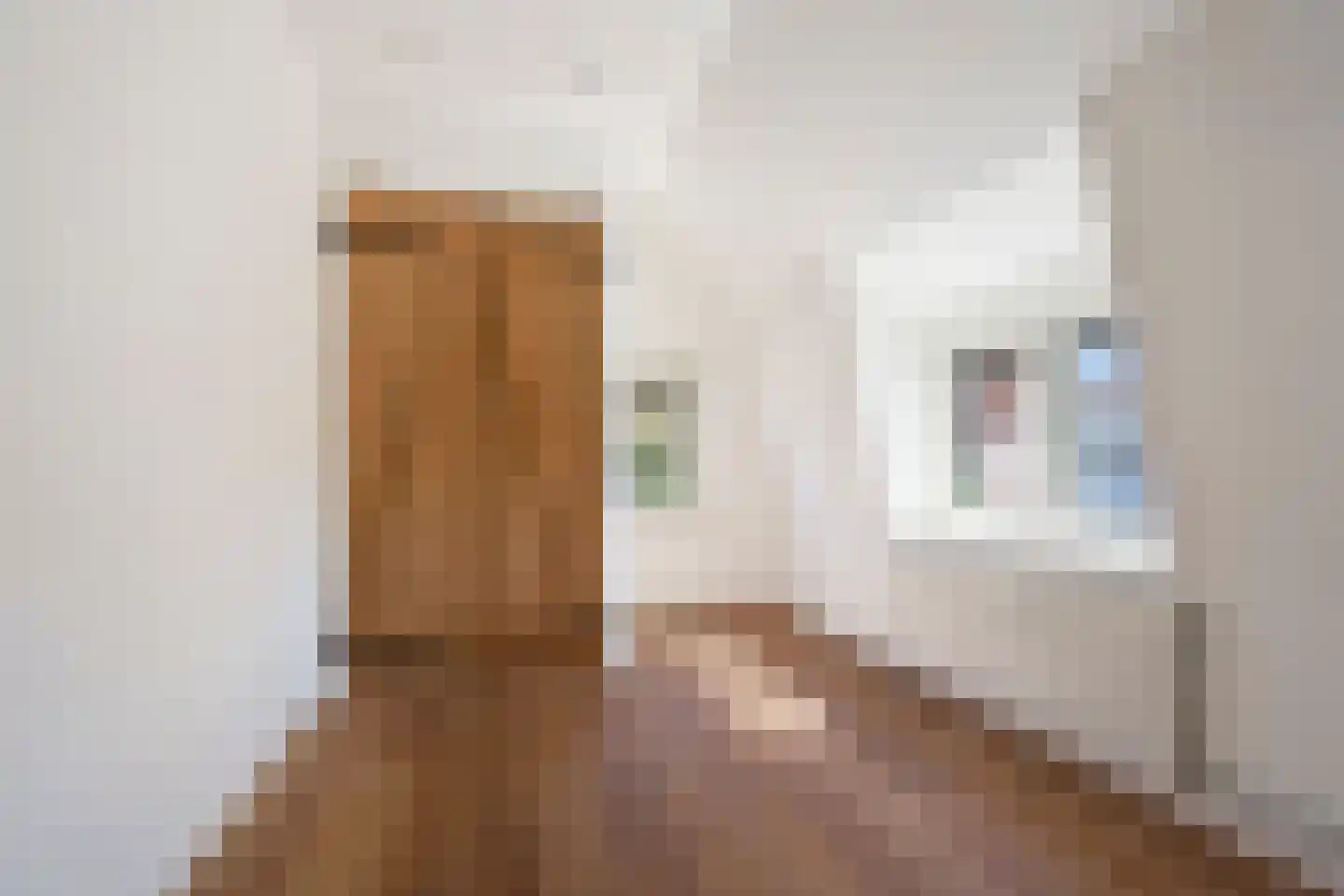 Landzichtlaan 49 Heemstede thumbnail 34