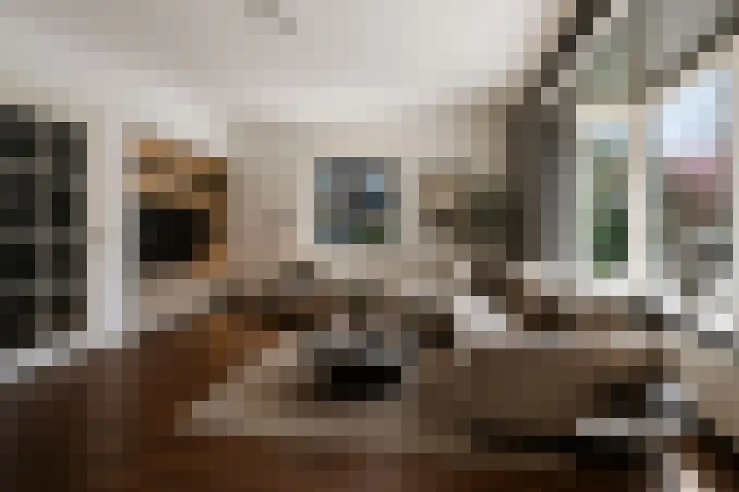 Landzichtlaan 49 Heemstede thumbnail 6