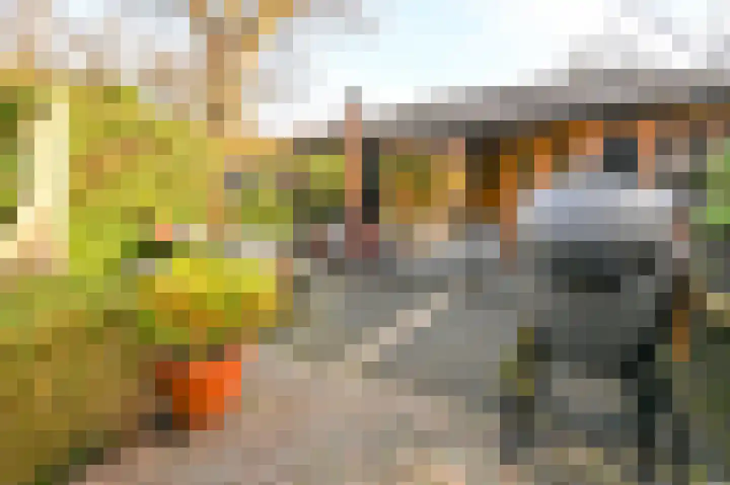 Landzichtlaan 58 Heemstede thumbnail 26
