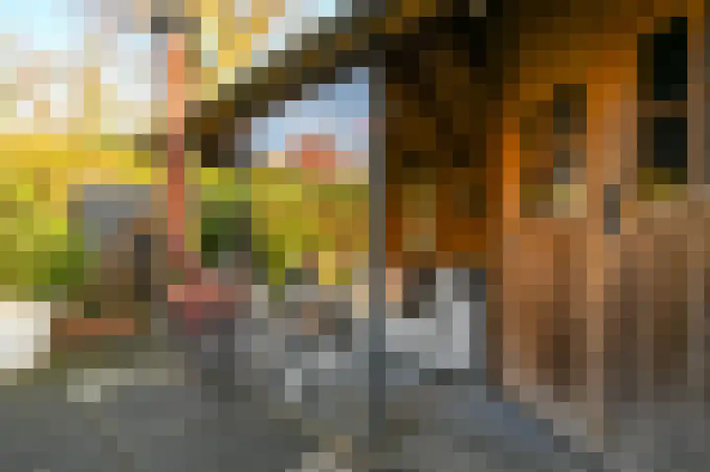 Landzichtlaan 58 Heemstede thumbnail 27