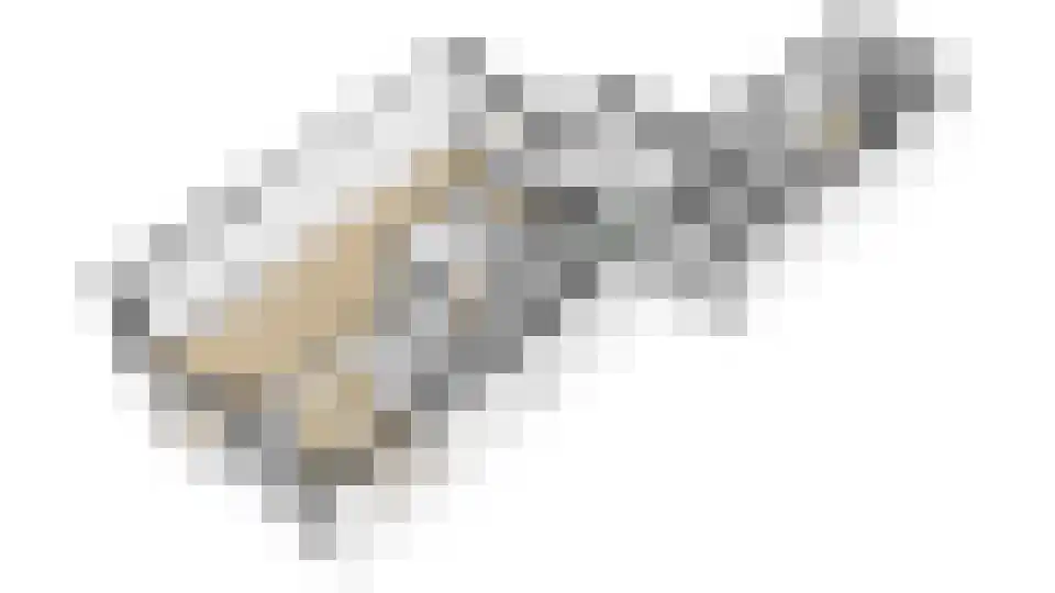 Landzichtlaan 58 Heemstede thumbnail 44