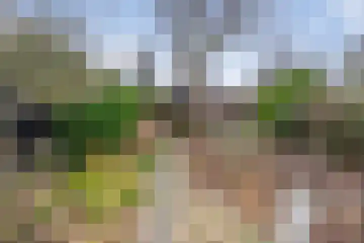 Landzichtlaan 60 Heemstede thumbnail 32