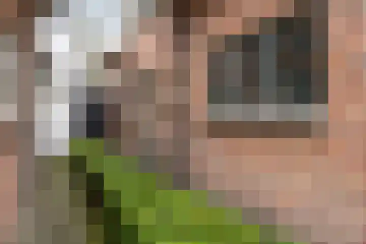 Landzichtlaan 60 Heemstede thumbnail 39