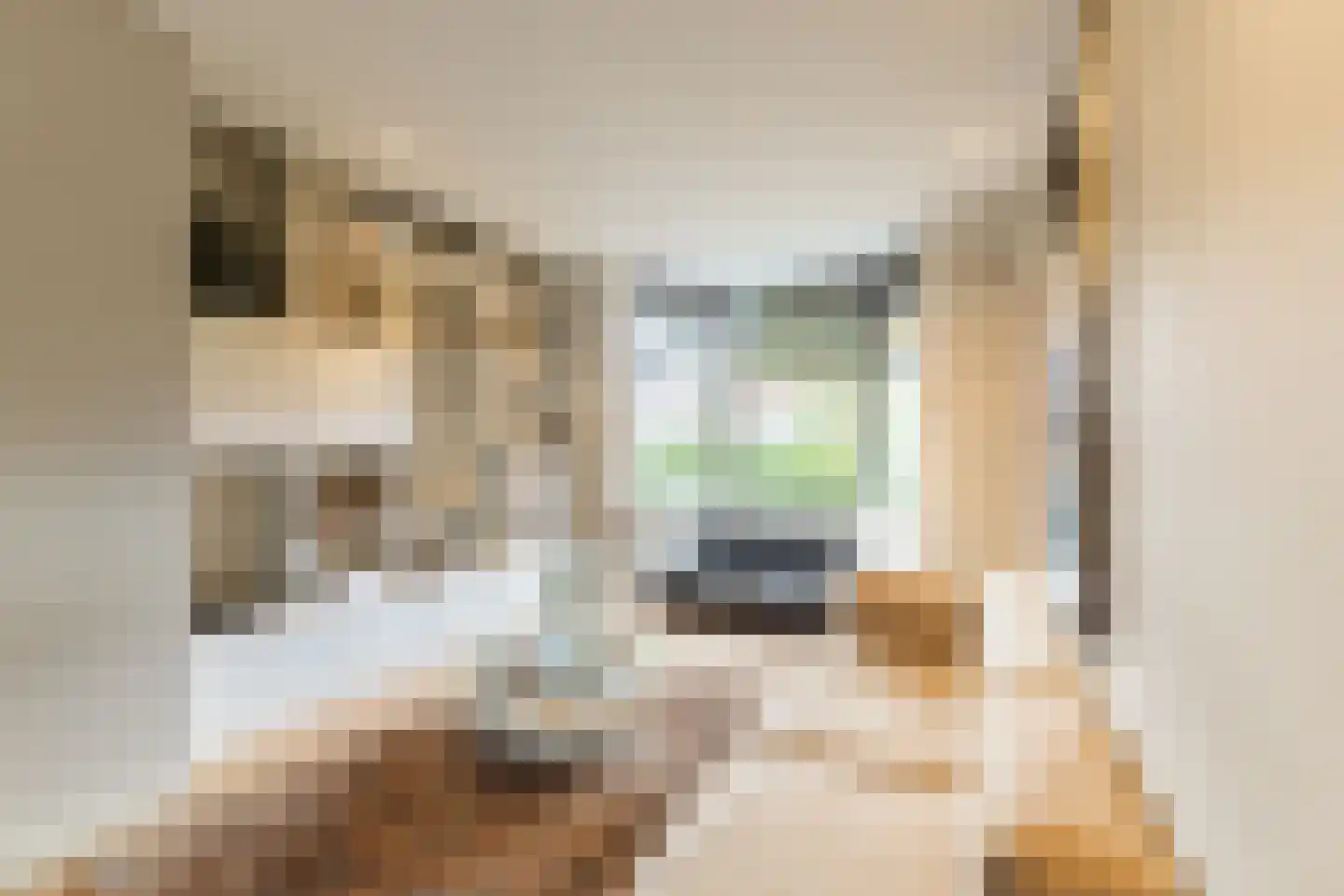 Landzichtlaan 78 Heemstede thumbnail 12