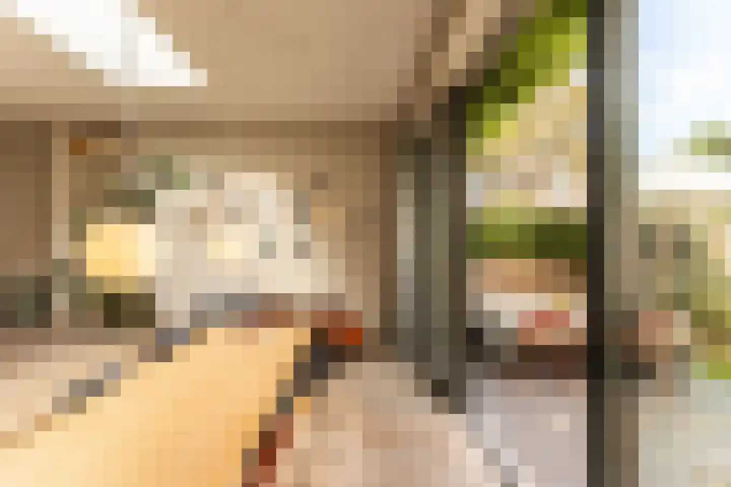 Landzichtlaan 78 Heemstede thumbnail 17