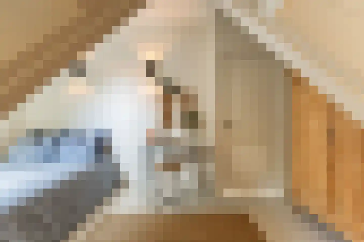 Landzichtlaan 78 Heemstede thumbnail 29