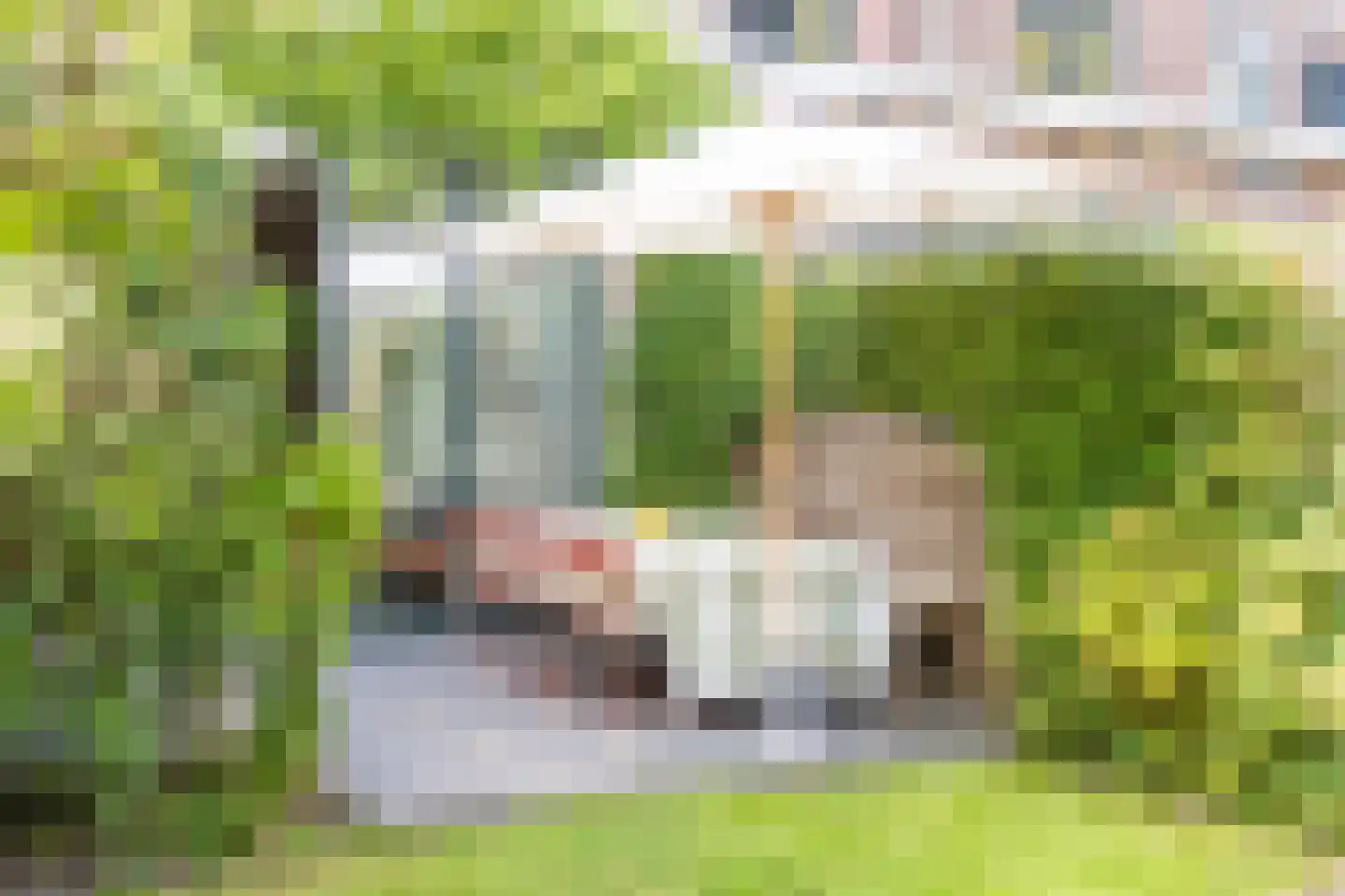 Landzichtlaan 78 Heemstede thumbnail 33