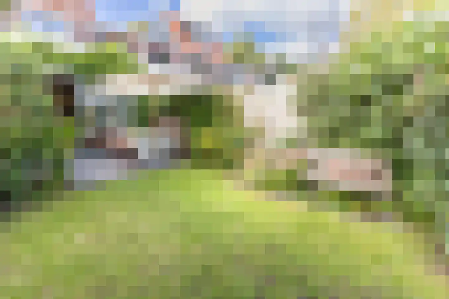 Landzichtlaan 78 Heemstede thumbnail 34
