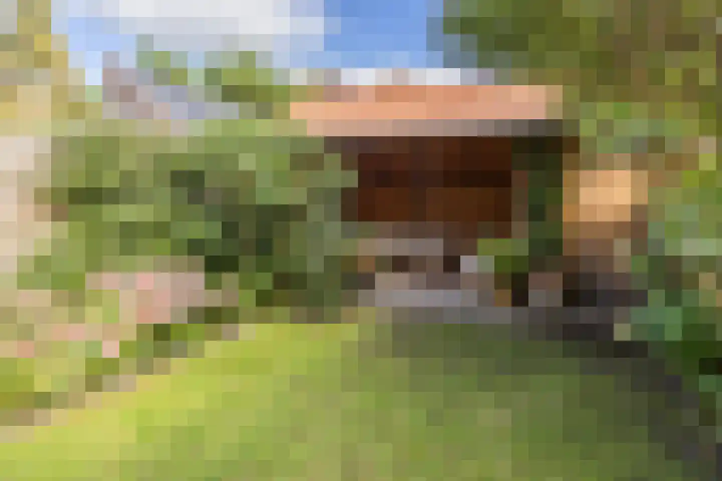 Landzichtlaan 78 Heemstede thumbnail 35