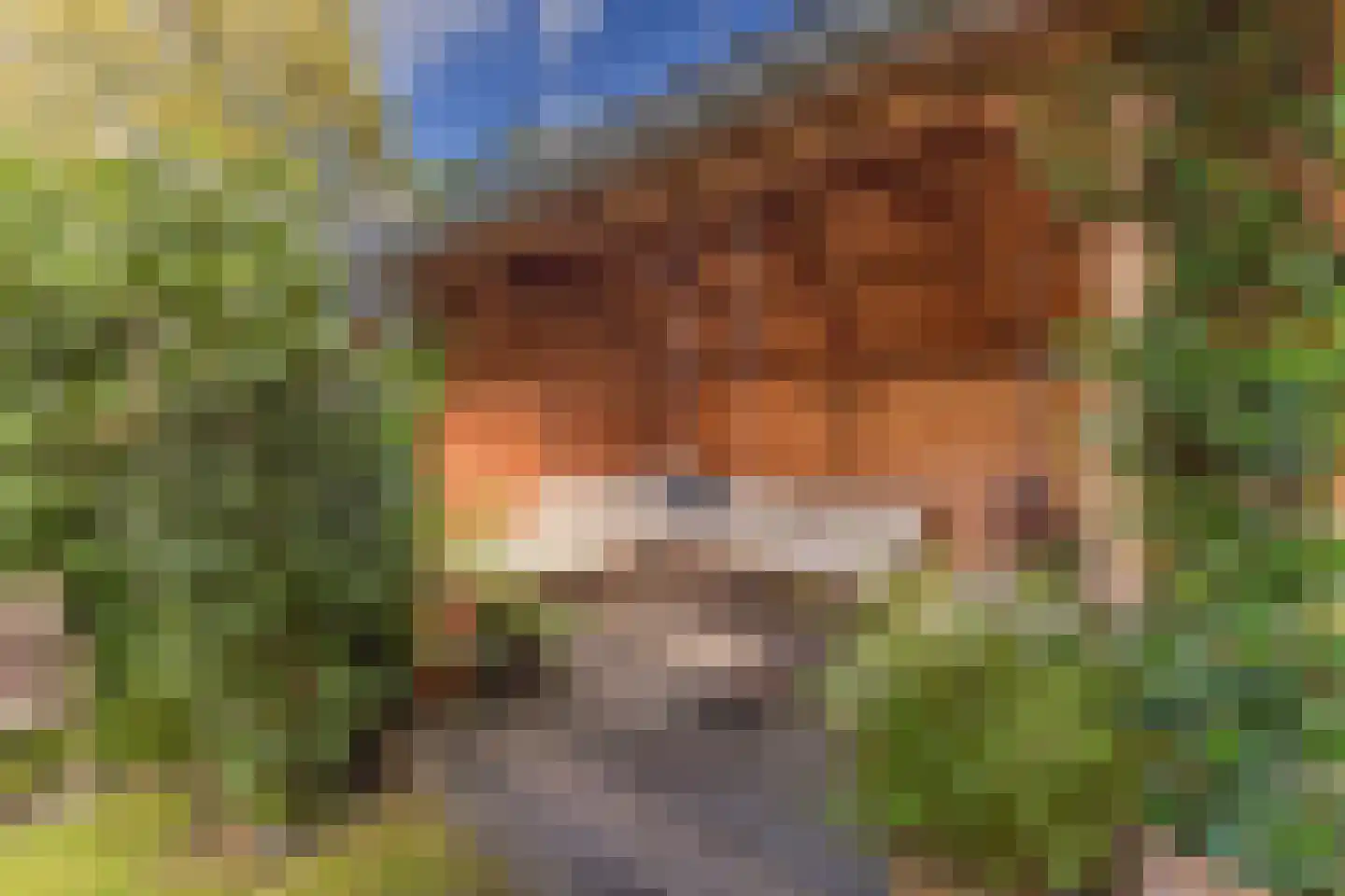 Landzichtlaan 78 Heemstede thumbnail 36