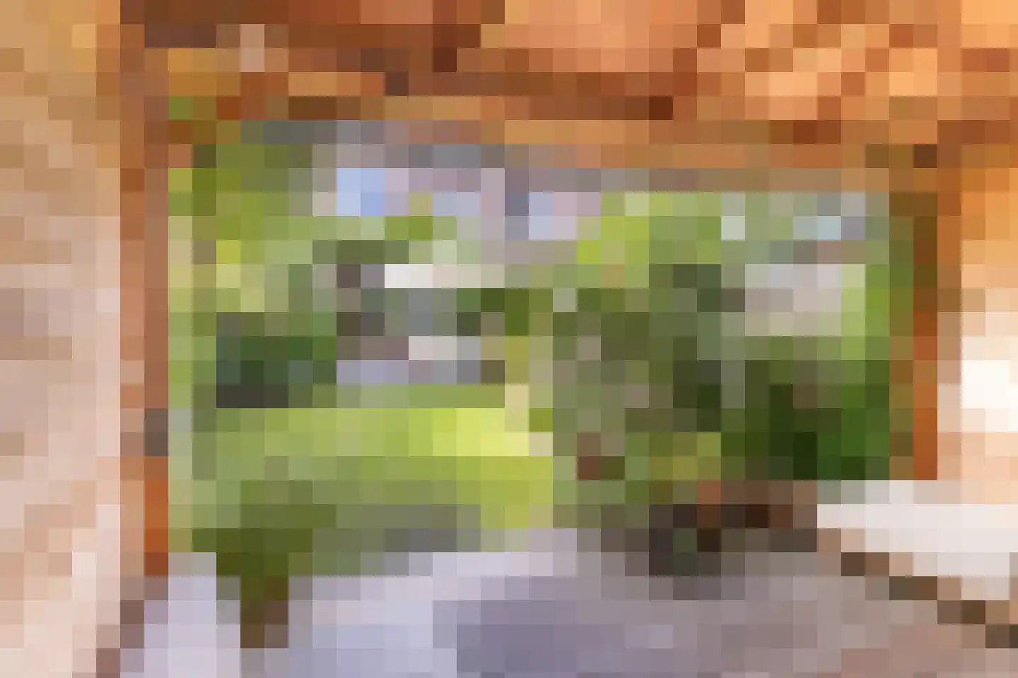 Landzichtlaan 78 Heemstede thumbnail 37