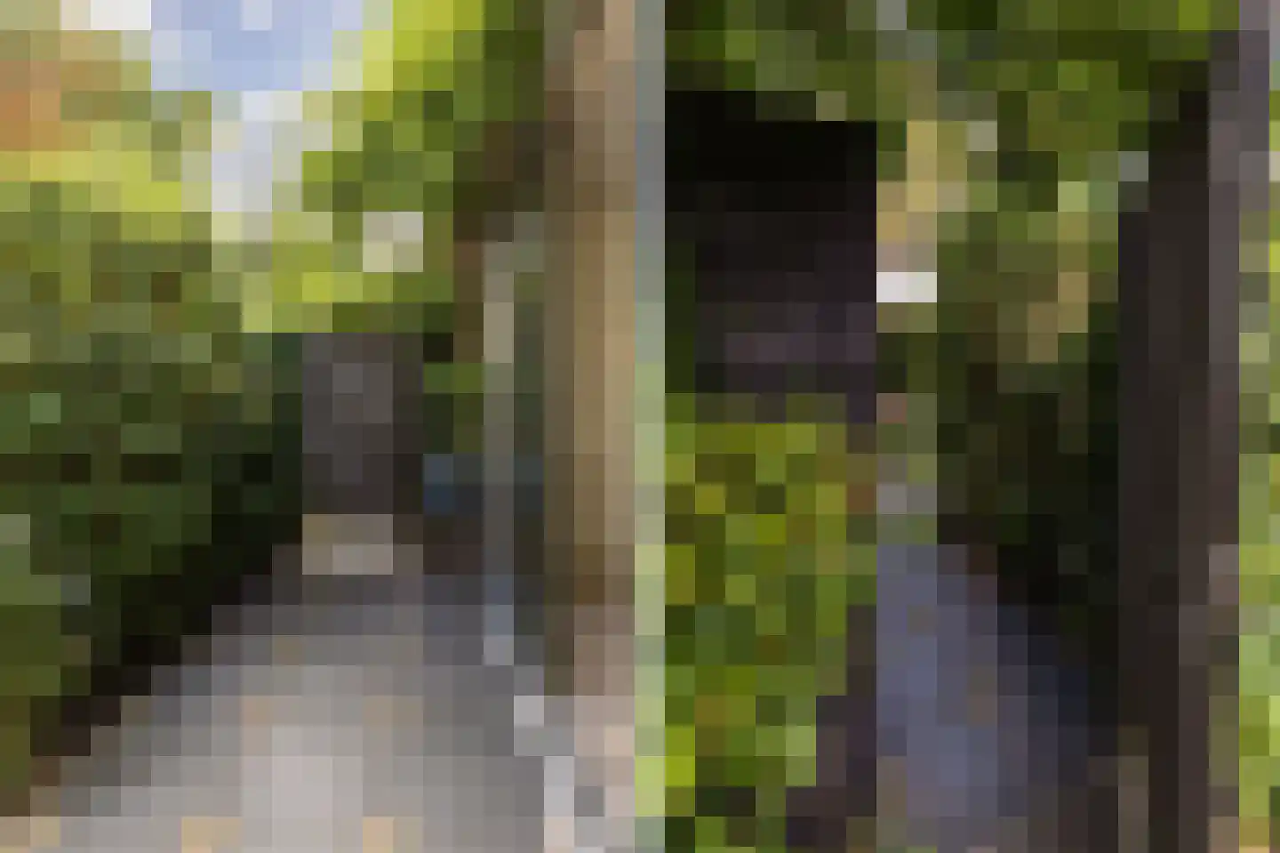 Landzichtlaan 78 Heemstede thumbnail 38