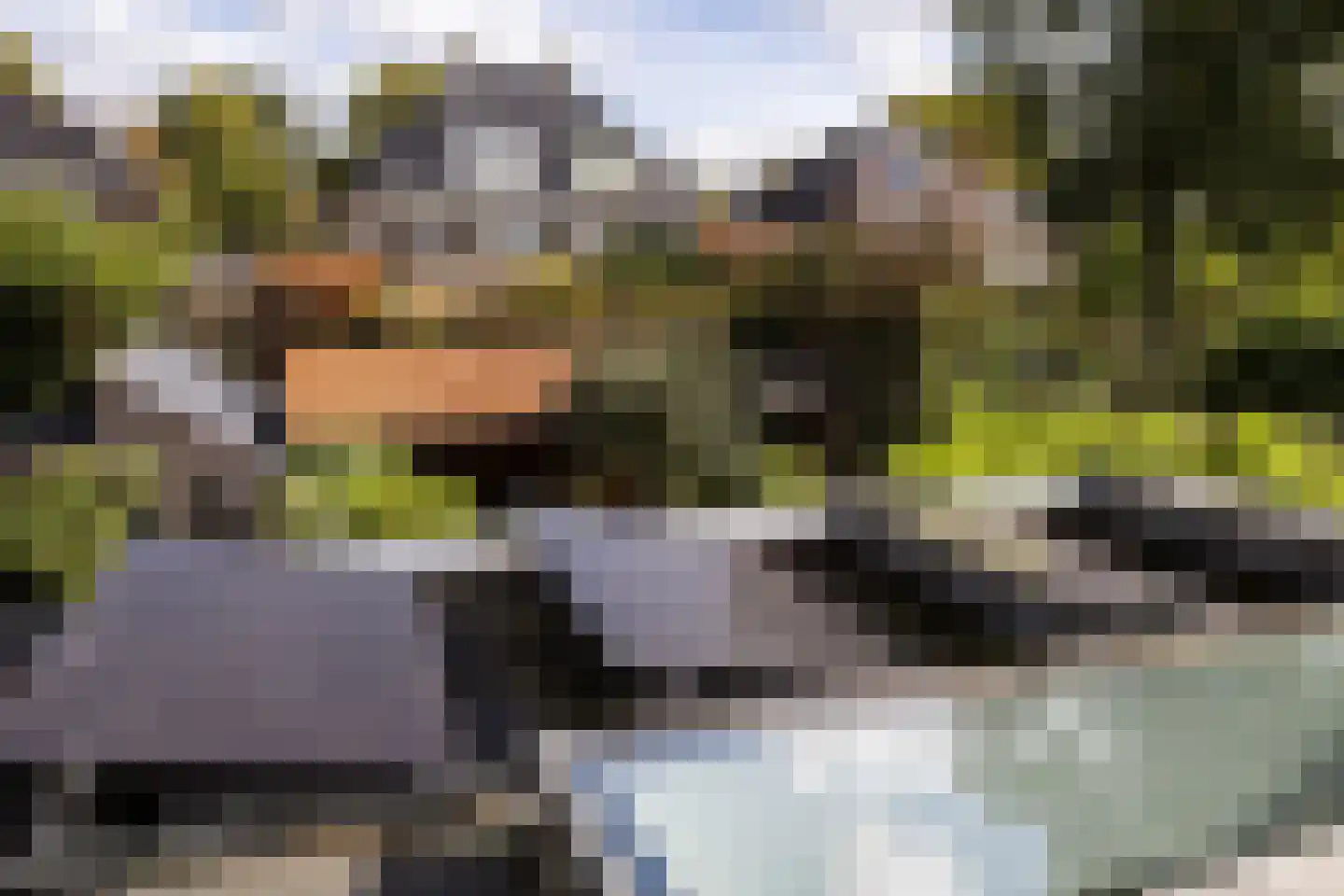 Landzichtlaan 78 Heemstede thumbnail 40