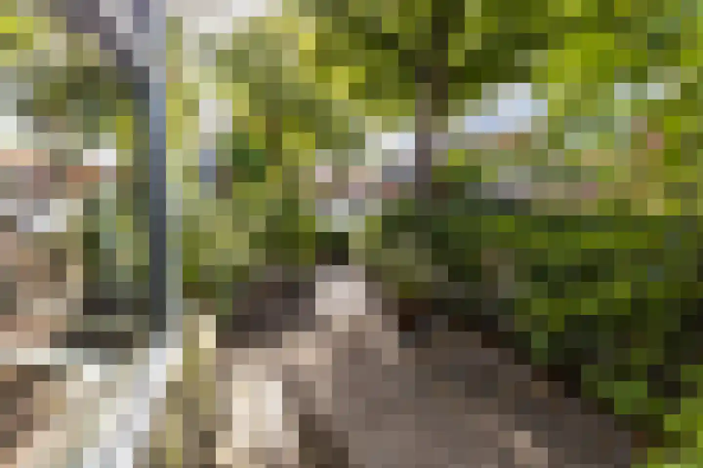 Landzichtlaan 78 Heemstede thumbnail 8