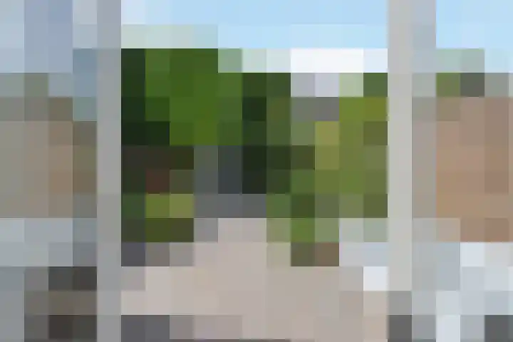 Lanecamp 47 Nijkerk thumbnail 18