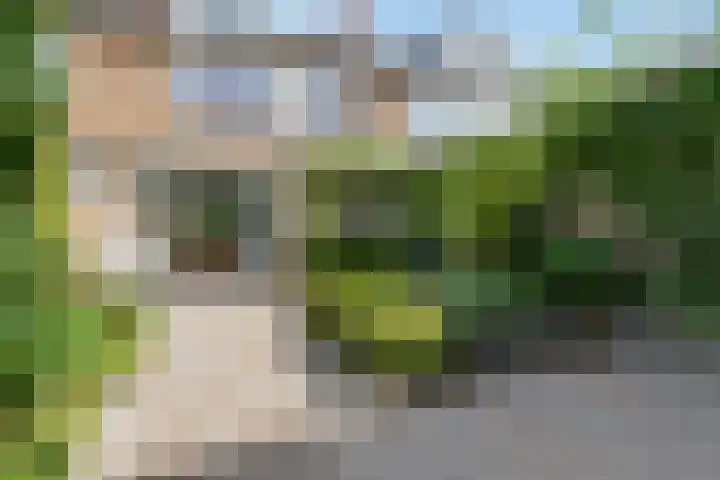 Lanecamp 47 Nijkerk thumbnail 6