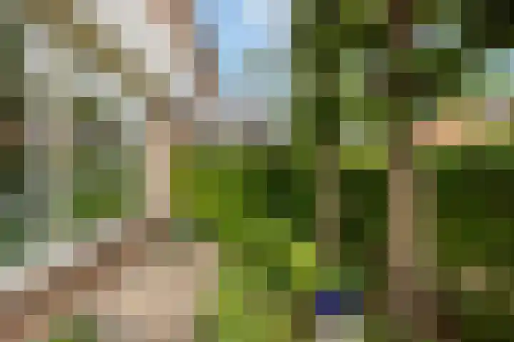 Lanecamp 47 Nijkerk thumbnail 7