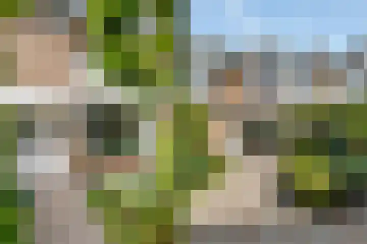 Lanecamp 47 Nijkerk thumbnail 8