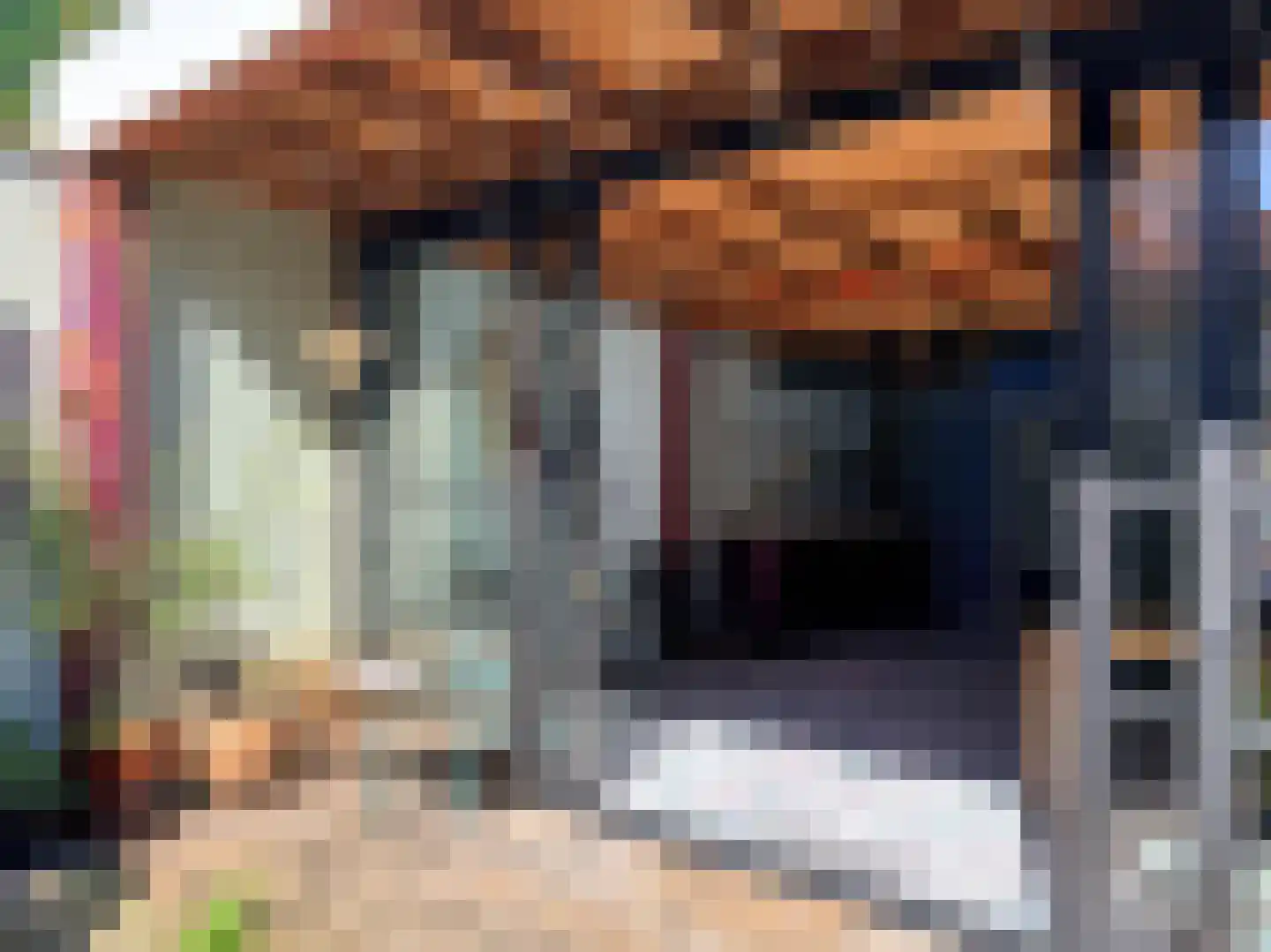 Lanen 20 Harlingen thumbnail 19