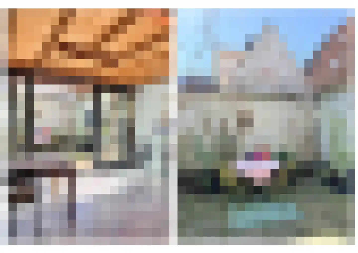 Lanen 20 Harlingen thumbnail 20
