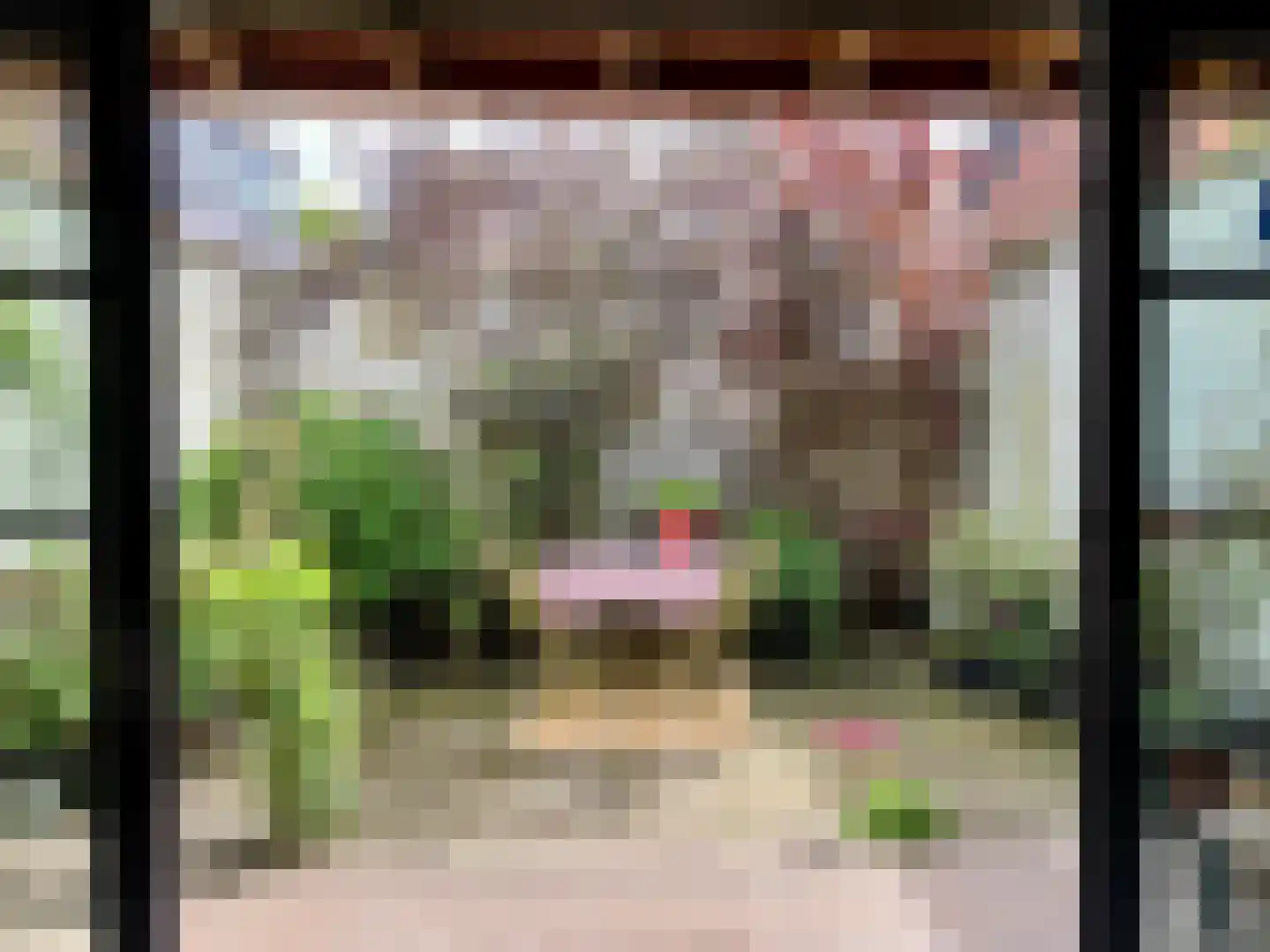 Lanen 20 Harlingen thumbnail 20