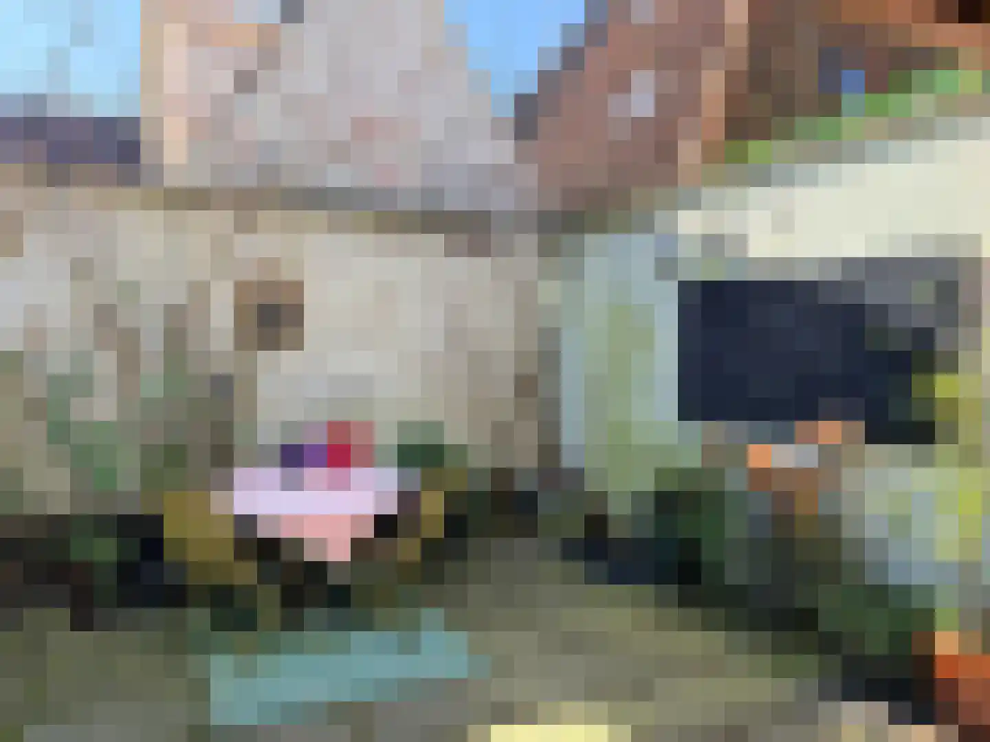 Lanen 20 Harlingen thumbnail 21
