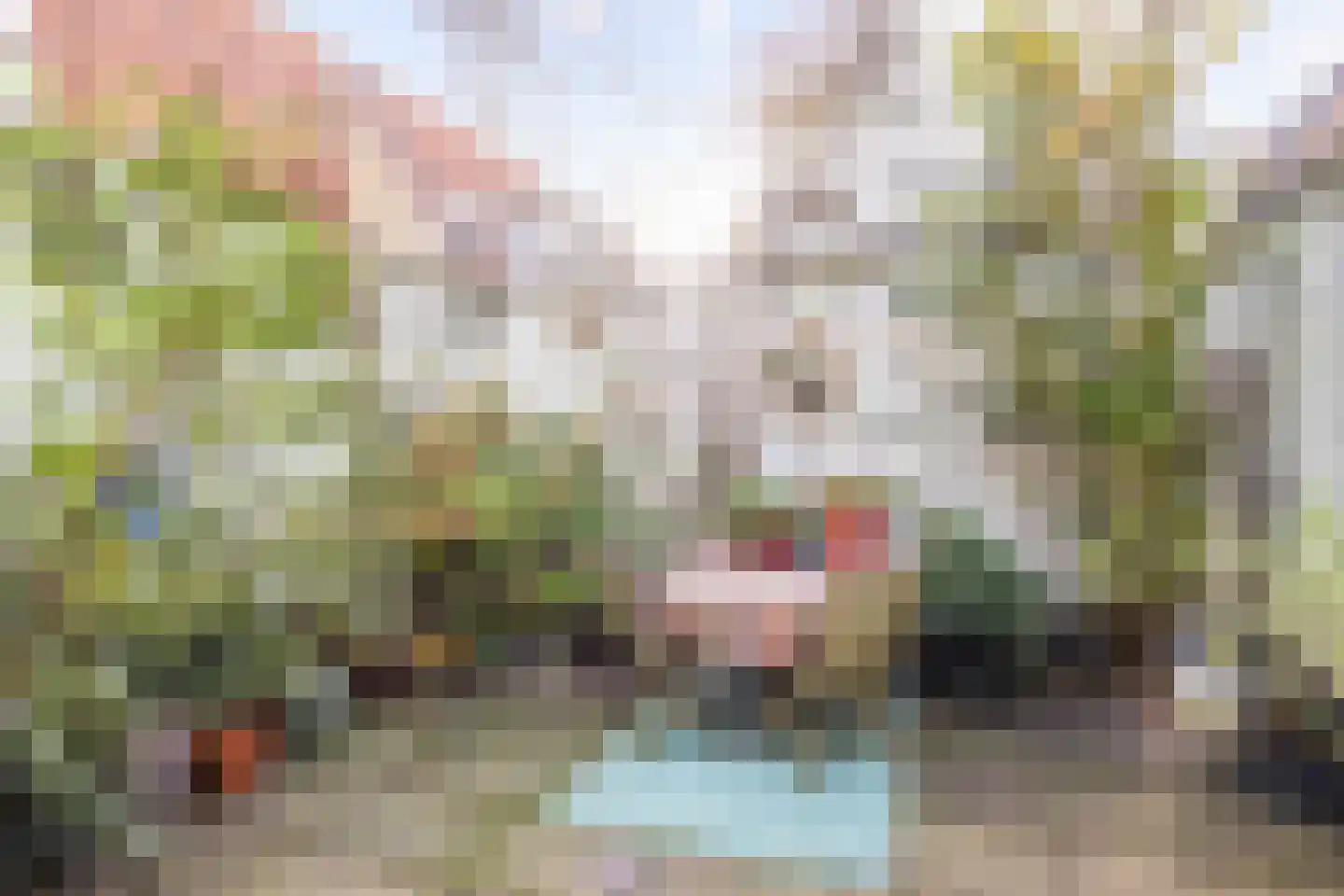 Lanen 20 Harlingen thumbnail 23