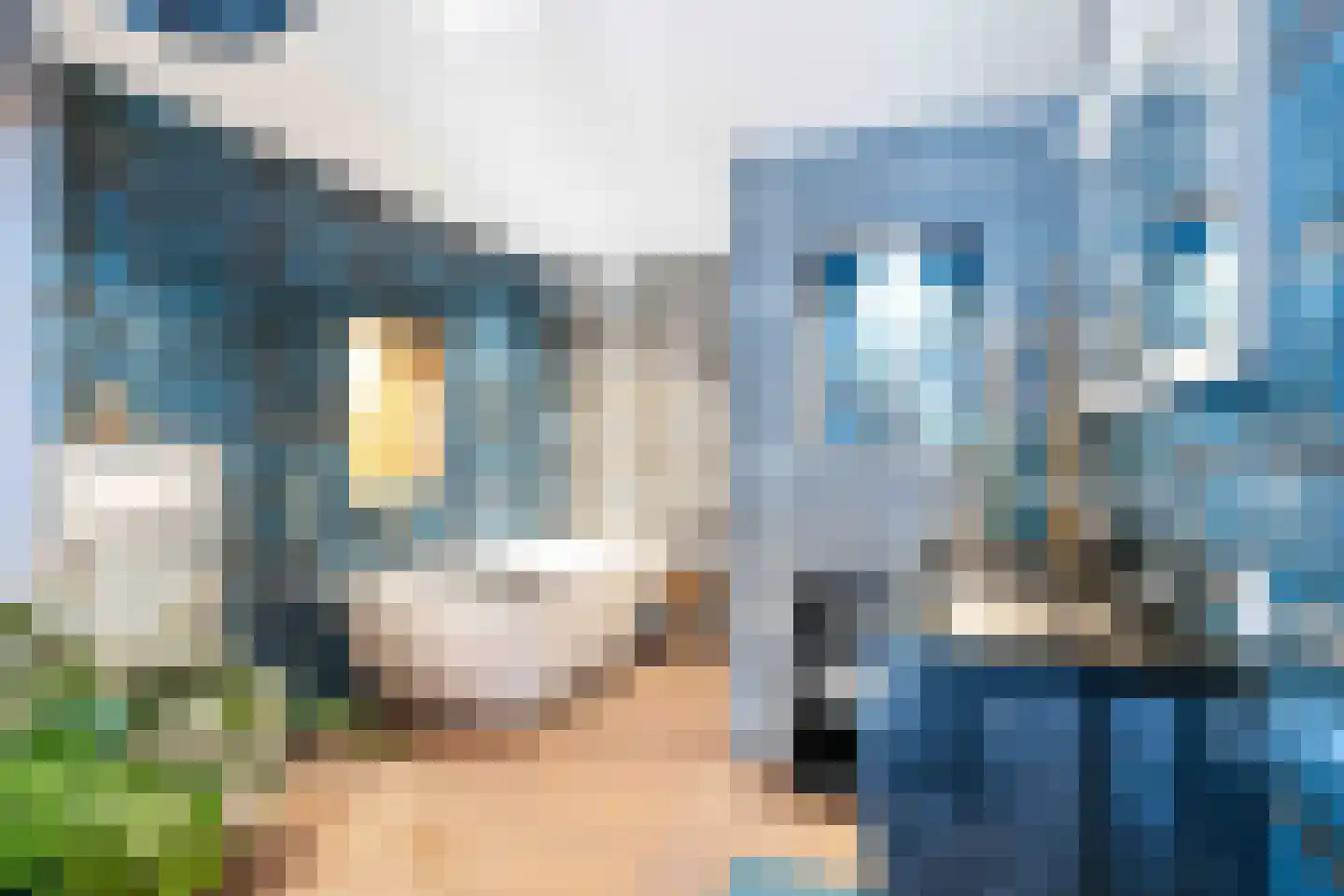 Lanen 20 Harlingen thumbnail 23