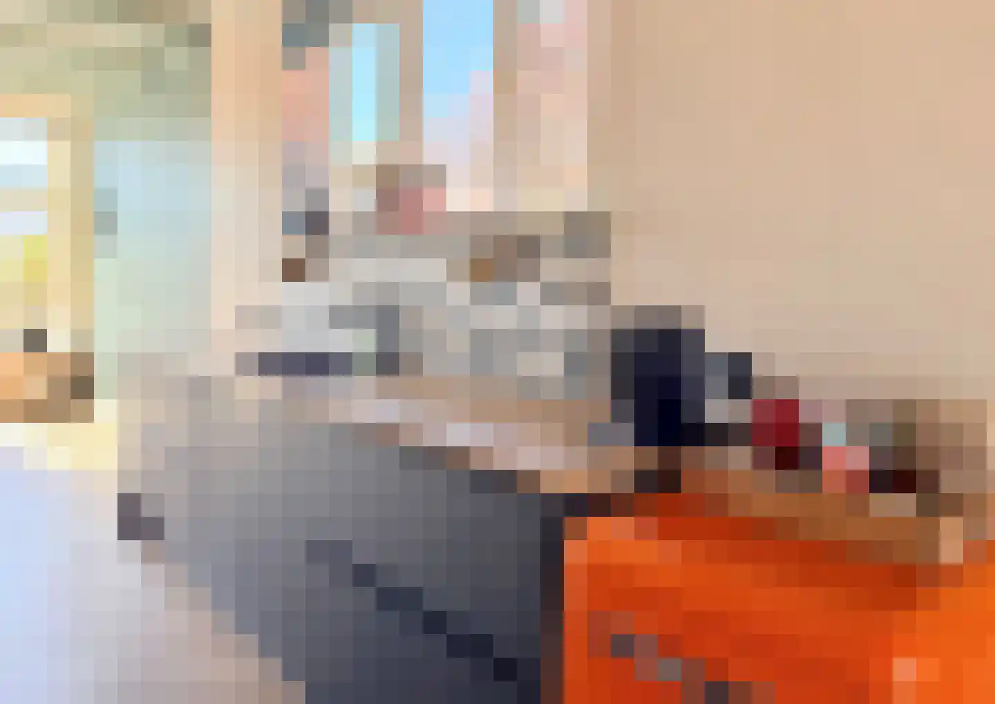 Lanen 20 Harlingen thumbnail 36