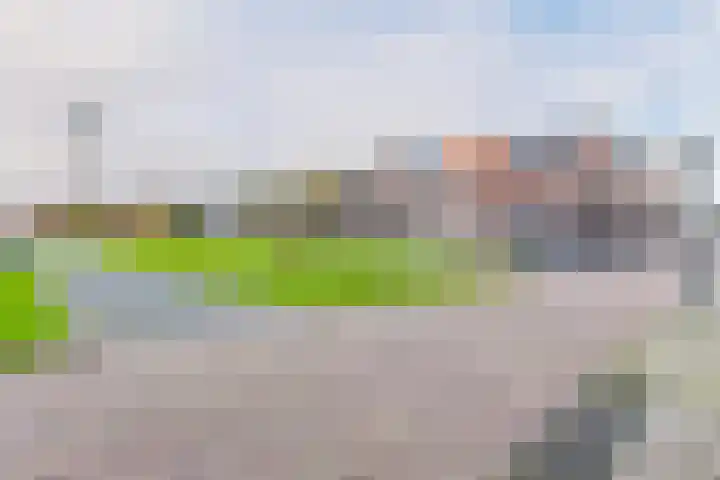 Lanenburg 107 Heerenveen thumbnail 4