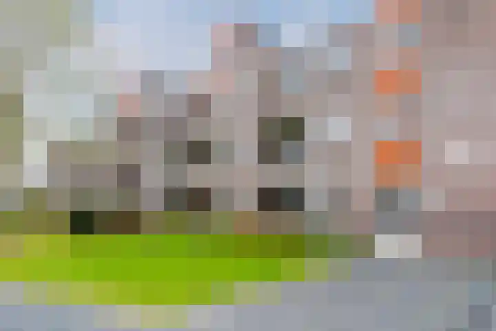 Lanenburg 107 Heerenveen thumbnail 5