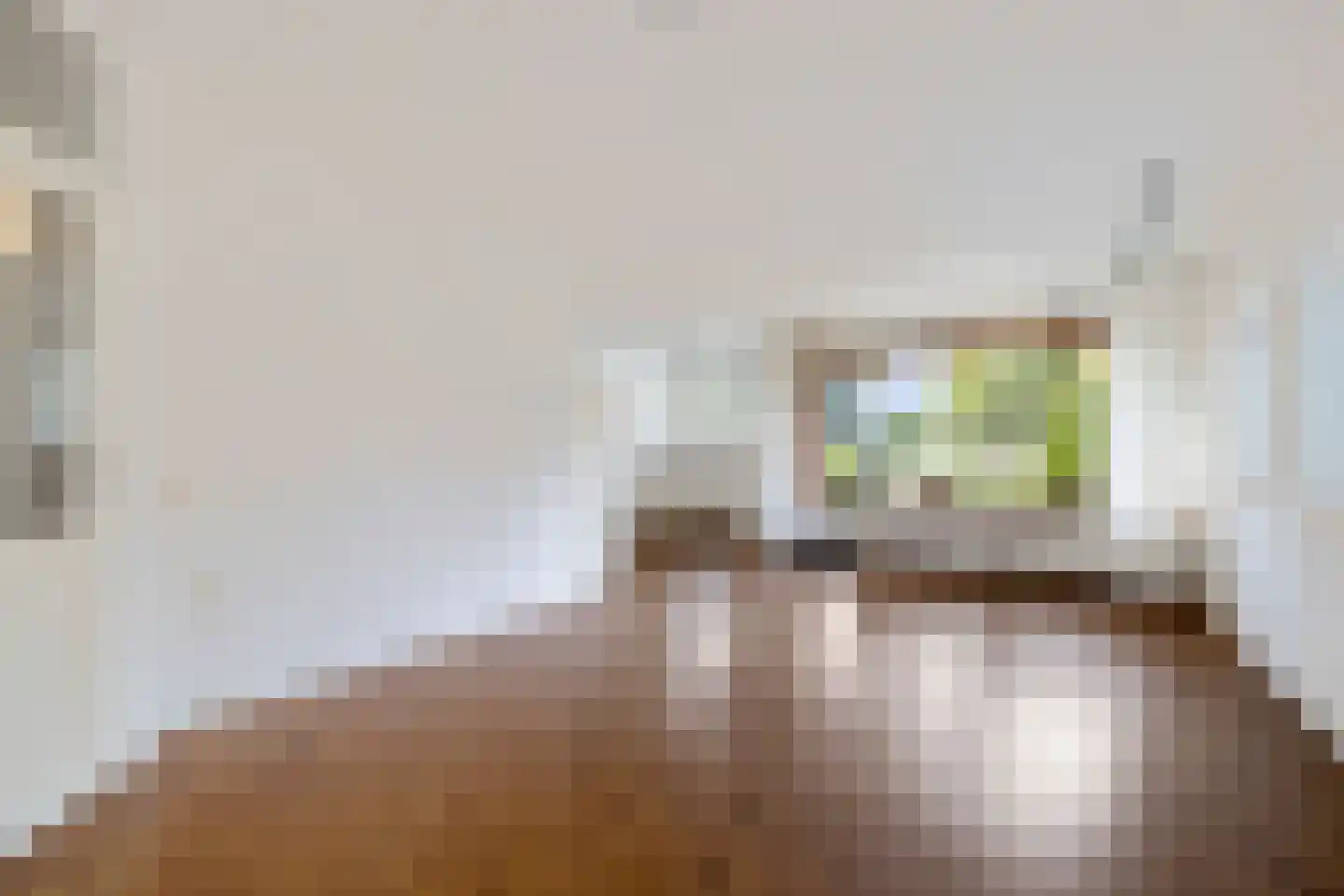 Lanenburg 15 Heerenveen thumbnail 19