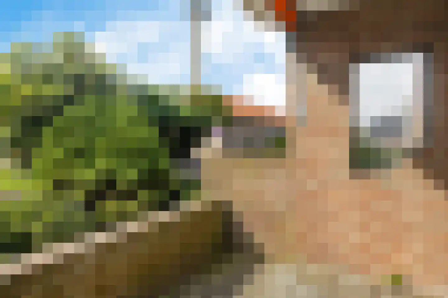 Lanenburg 15 Heerenveen thumbnail 30