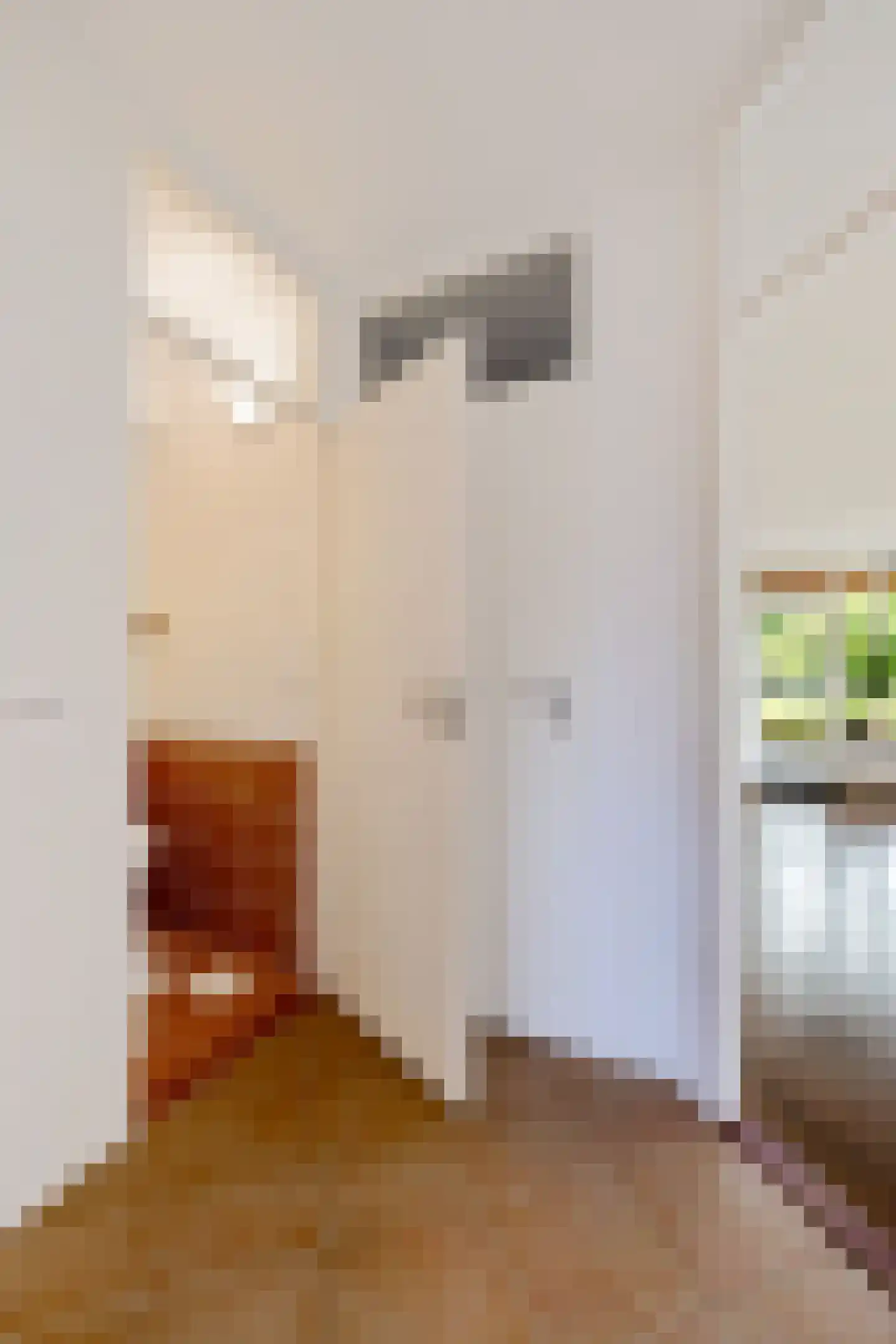 Lanenburg 15 Heerenveen thumbnail 33