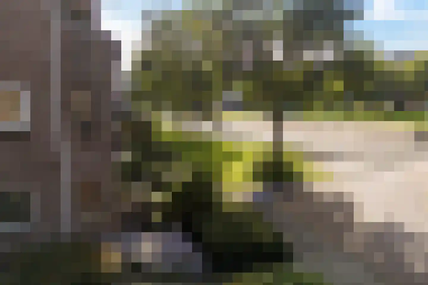 Lanenburg 15 Heerenveen thumbnail 42