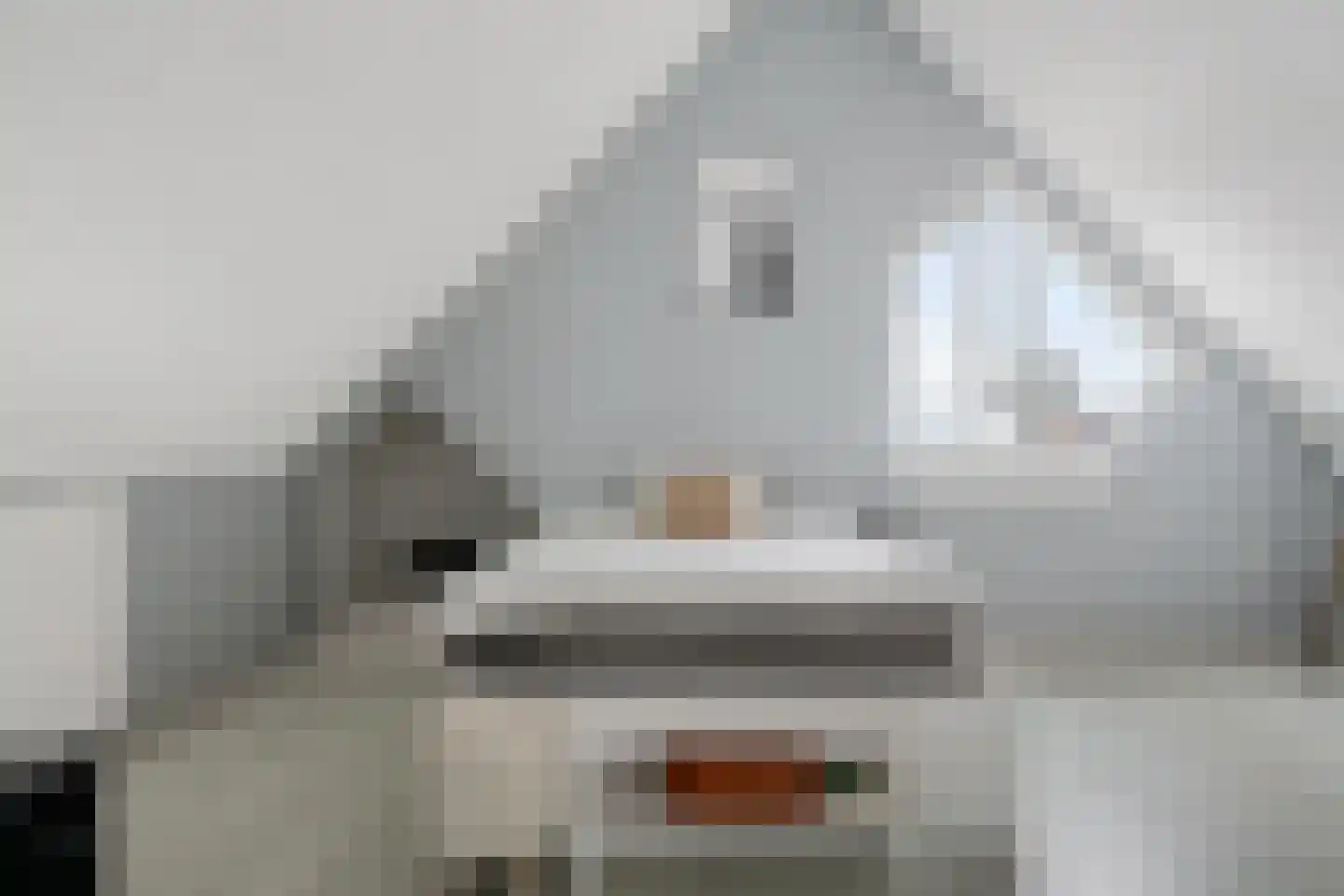 Lanenburg 202 Heerenveen thumbnail 18