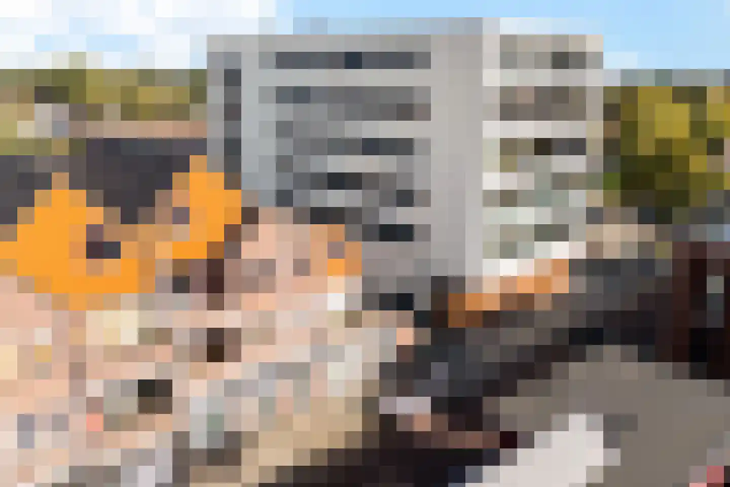 Lanenburg 202 Heerenveen thumbnail 35