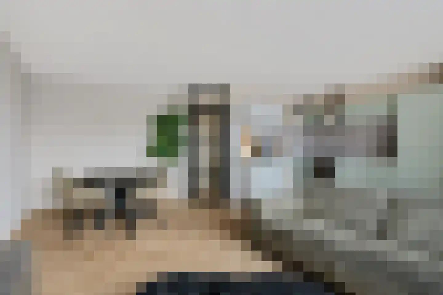 Lanenburg 202 Heerenveen thumbnail 4