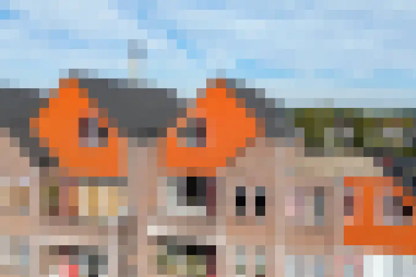 Lanenburg 202 Heerenveen thumbnail 48