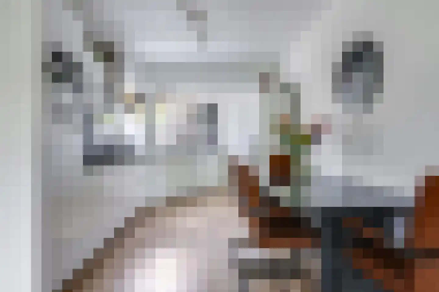 Langakker 33 Gendt thumbnail 19